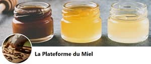 /media/they_say_logo/la-plateforme-du-miel-2_0n9Nbyu.jpg