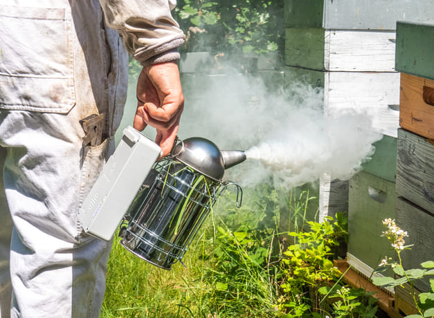 Zephyr, l'enfumoir pour abeilles à soufflerie électrique qui simplifie la vie des apiculteurs.